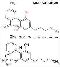 CBD Cannabidiol und THC Tetrahydrocannabinol Moleküle CBD Cannabidiol und THC Tetrahydrocannabinol Moleküle