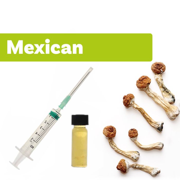 Magische Pilzkultur | Liquid Culture Mexican main product photo