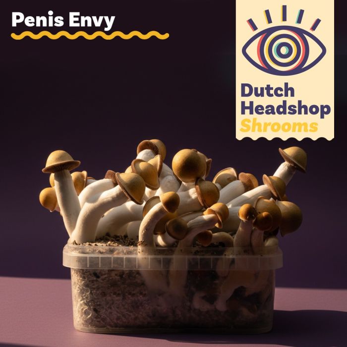 Magic Mushrooms Growkit Penis Envy 1200cc (Hausmarke) main product photo