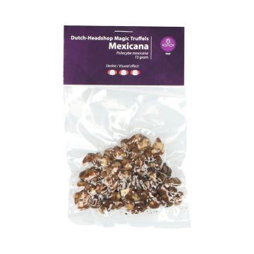 Magische Trüffel Mexicana (Hausmarke) 15 Gramm