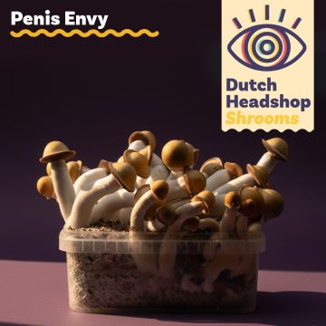 Magic Mushrooms Growkit Penis Envy 1200cc (Hausmarke)