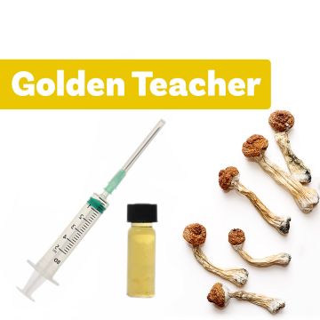 Magische Pilzkultur | Liquid Culture Golden Teacher