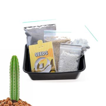 San Pedro Kaktus Growkit [Echinopsis Pachanoi] 20 Samen