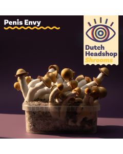 Magic Mushrooms Growkit Penis Envy 1200cc (Hausmarke)