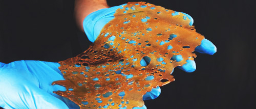 Kurs Dabs Herstellen Teil 2: BHO Haschöl (Shatter / Crumble)
