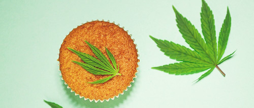 Space Cake Machen: ein irres Space Cake Rezept mit Cannabisbutter