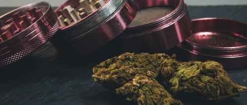 Weed Grinder kaufen? Dies sind die Optionen