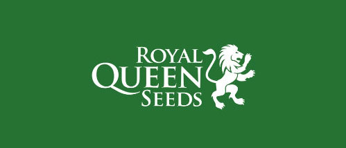Hanfsamen Royal Queen Seeds