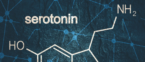 Serotonin Mangel? L-Tryptophan oder 5-HTP gegen ein Post-Drogen-Tief