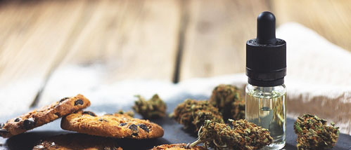 Cannabis ein gesundes Gewächs? Gesundes Leben mit Gras