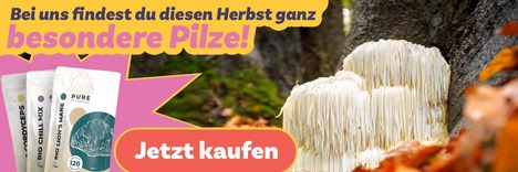 Bei uns findest du diesen Herbst ganz besondere Pilze.
