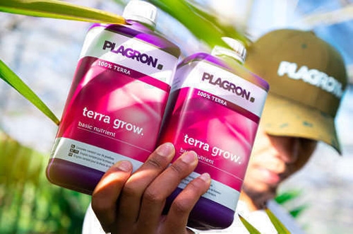 Plagron Terra Grow